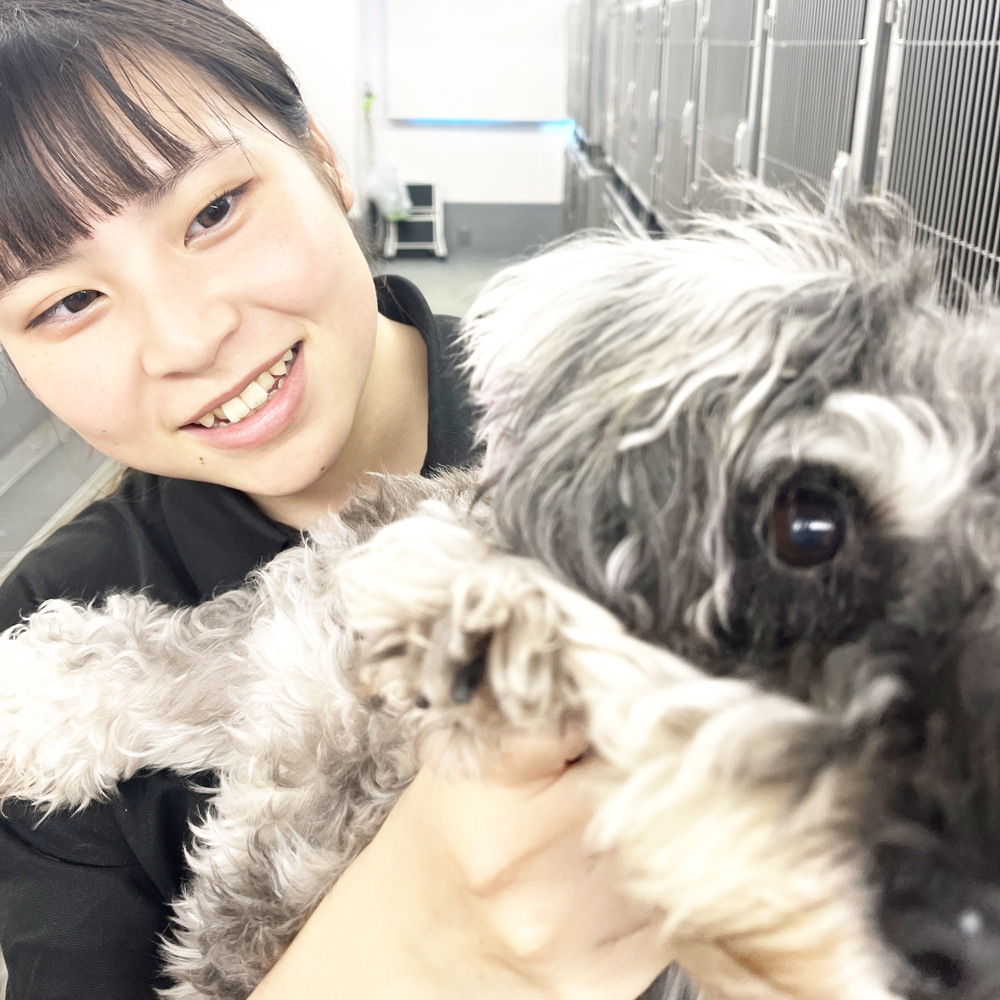 室内でＷａｎ活♪